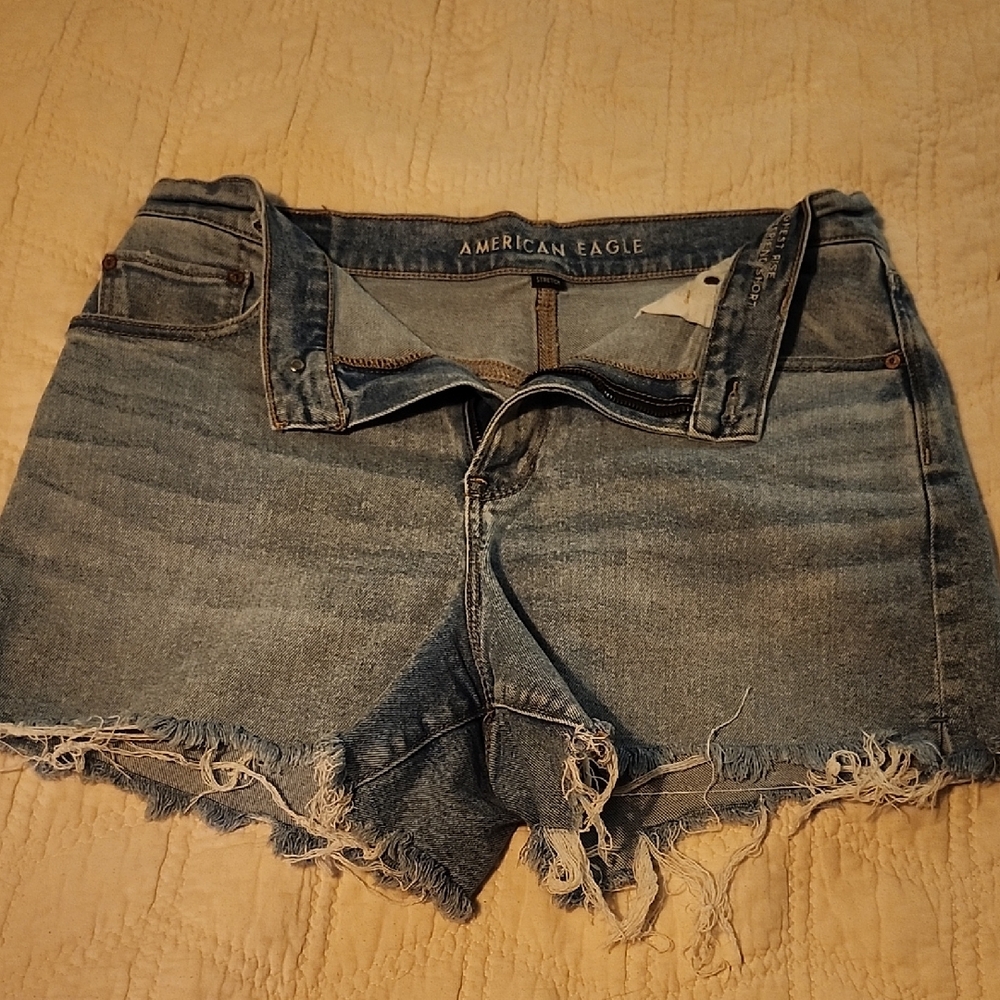 American Eagle Outfitters Distressed Blue Jean Shorts